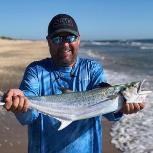 Meet your Posher, Steven